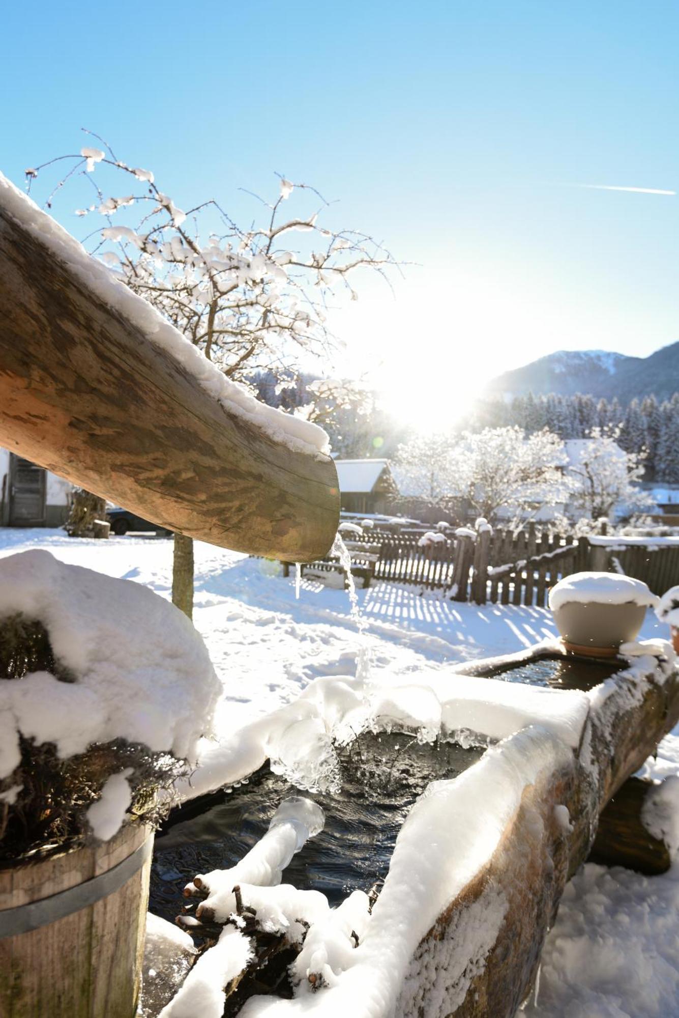 Auerhof Villa Schladming Exteriör bild