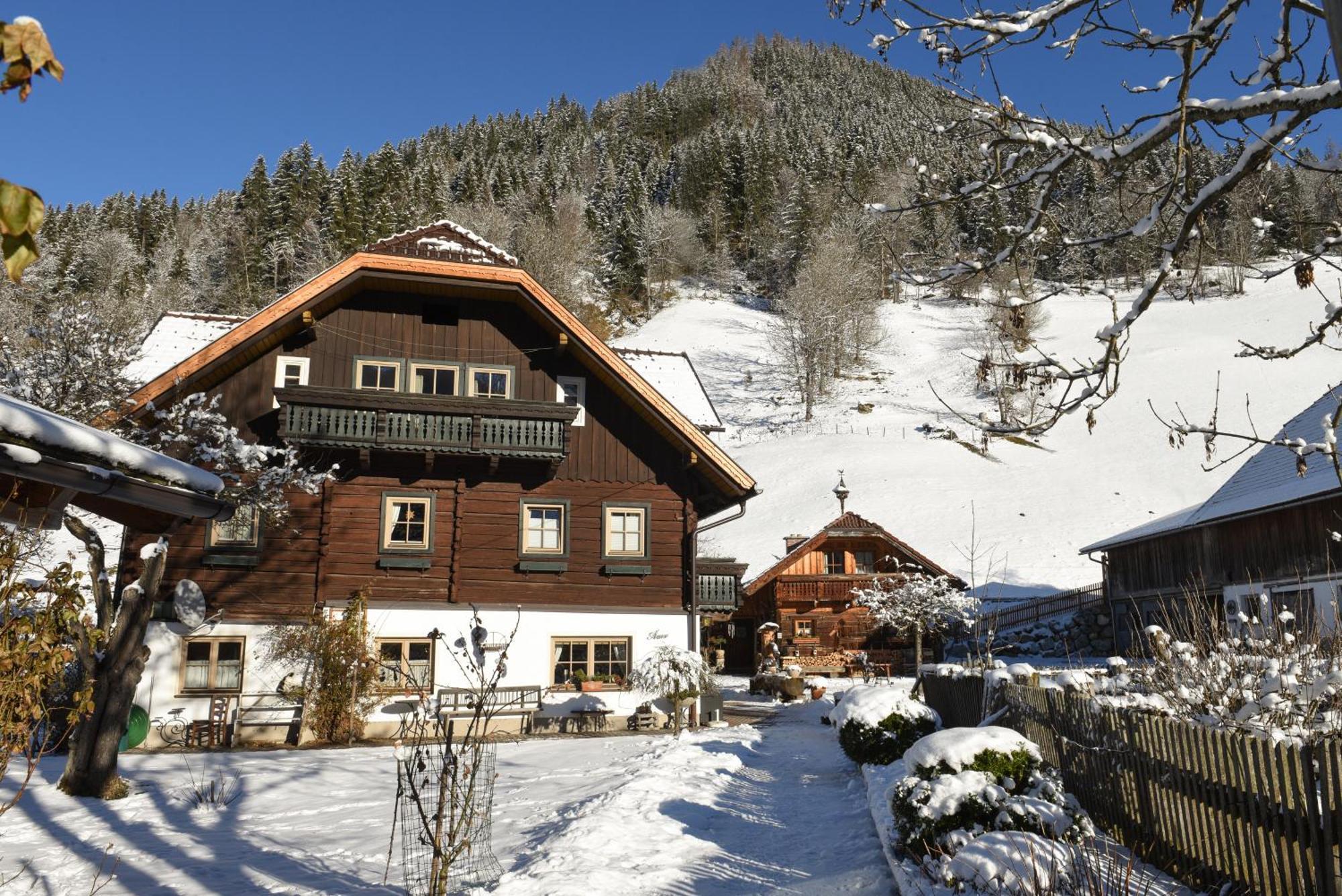 Auerhof Villa Schladming Exteriör bild