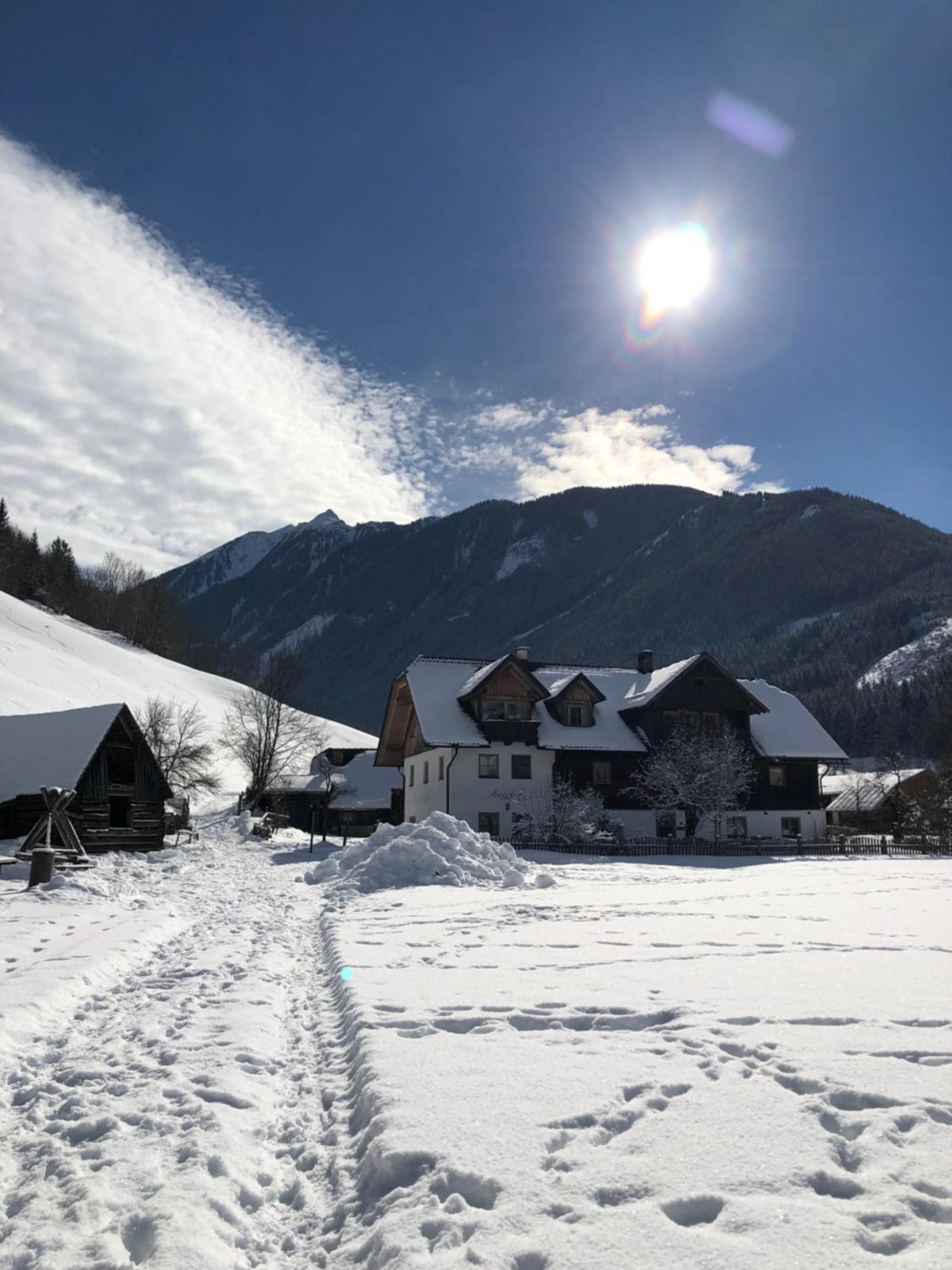 Auerhof Villa Schladming Exteriör bild