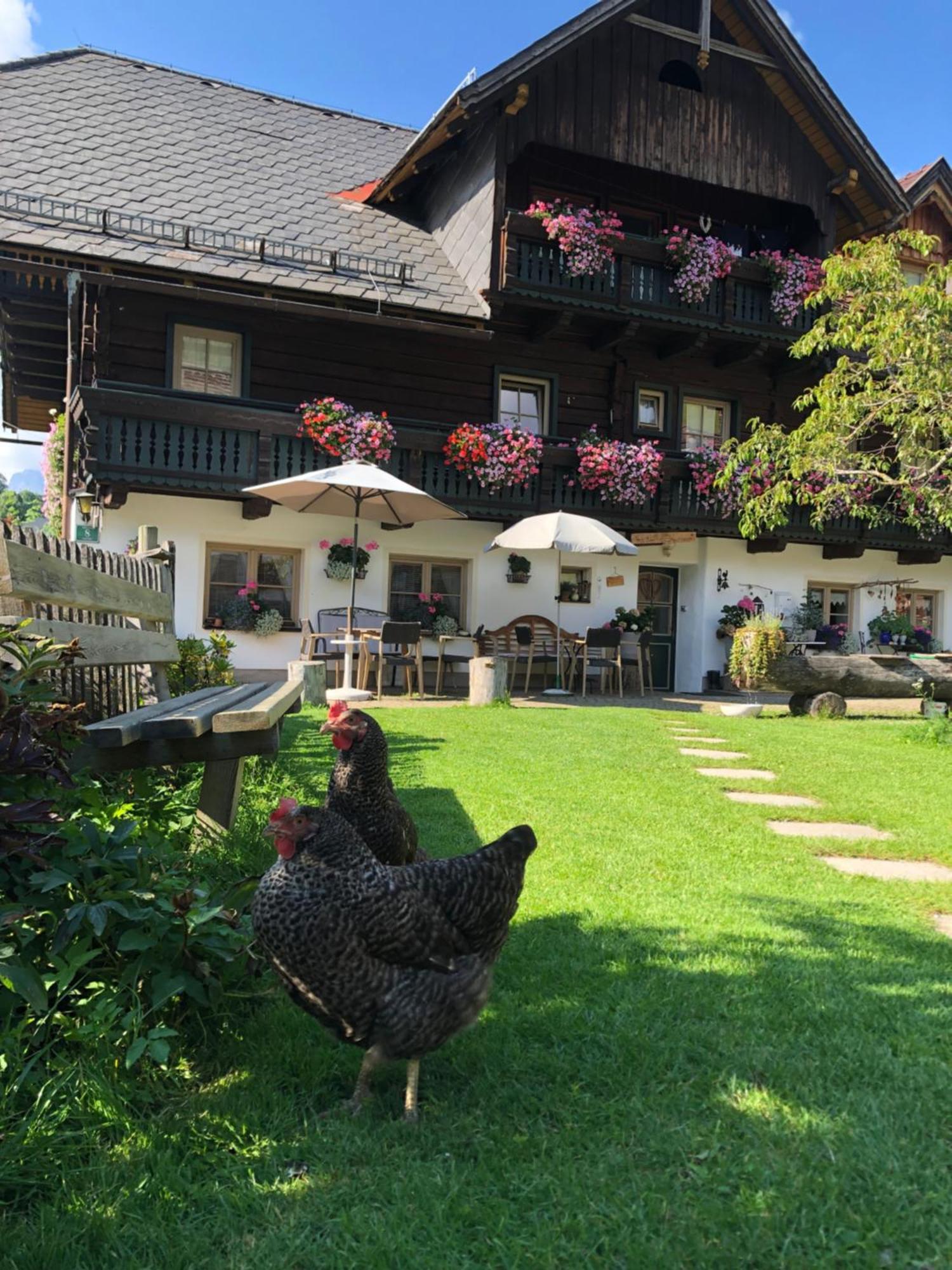 Auerhof Villa Schladming Exteriör bild